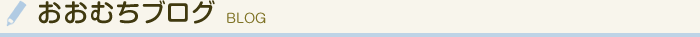 おおむちブログ